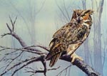 The Vantage-Great Horned Owl